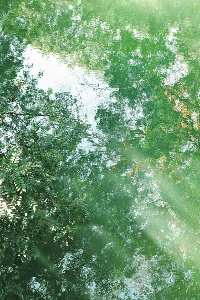 今天来到玉溪,误入龙泉胜地,古寺龙宫,泉池清澈,桃源仙境