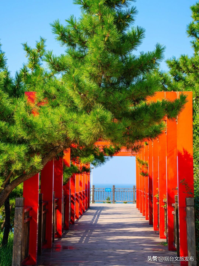 【乐游烟台】暴走两天！把烟台通海小路都拍到了
