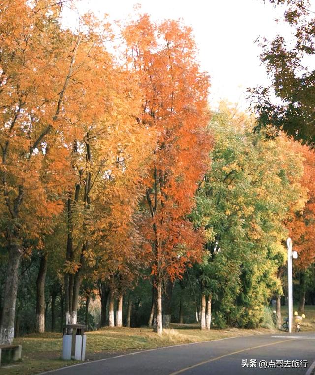 跟着法国总统游成都，24小时内去了哪些景点？成都真的太美了！