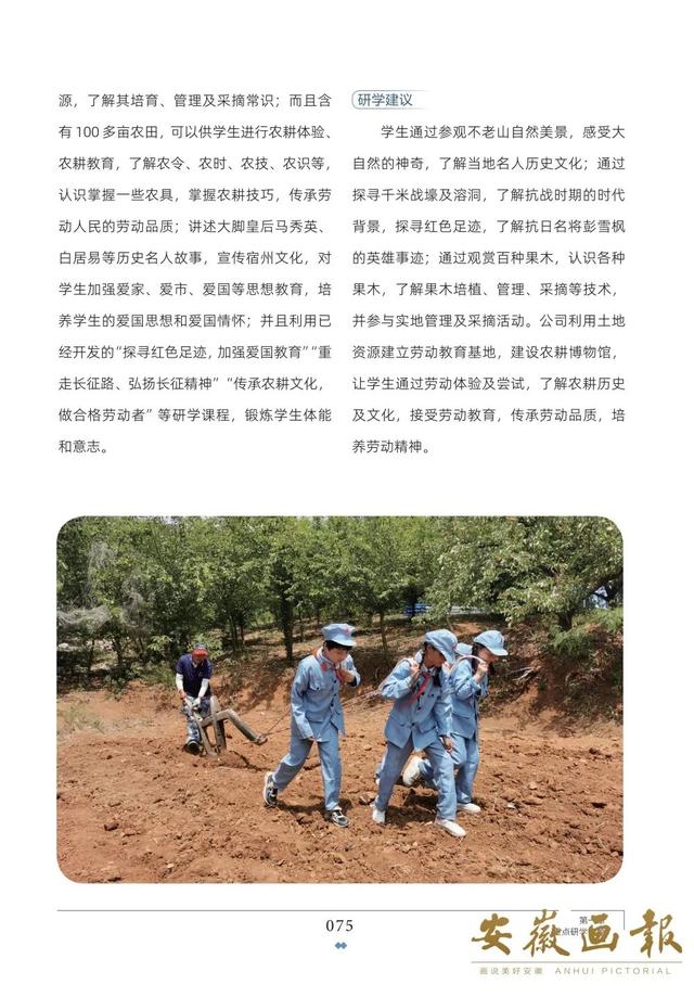 一市一品 皖美研学 | 楚汉「宿」缘 研学宿州