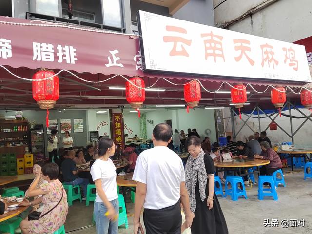 利川避暑山庄苏马荡树林下人们活动剪辑 老人安享晚年 小孩亲近自然