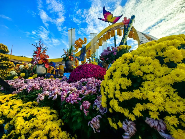 跟着央视打卡！沉浸式赏秋自驾攻略请查收~还有加油站专属福利