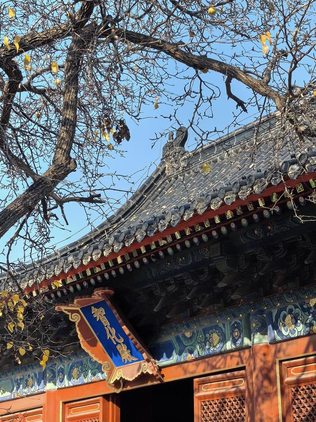 北京智化寺，小巷中的禅修之所