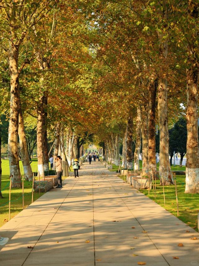 最高气温20℃！重庆人快来这些公园晒太阳