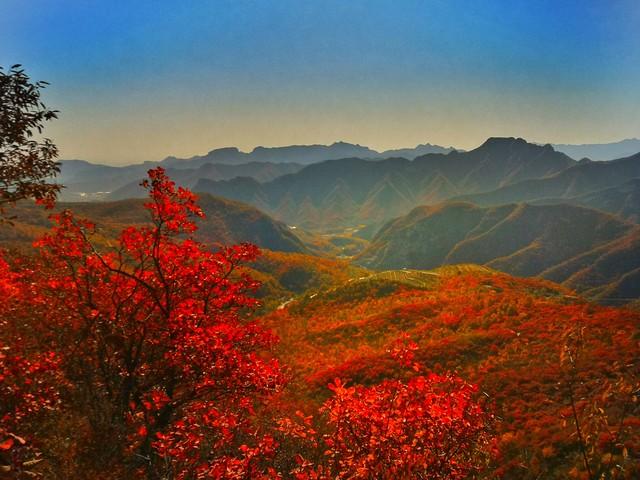 不藏了，河南5个禅意秋景点，帮你在市井中奔波的你寻回内心宁静