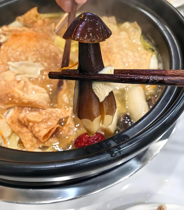 踏迹寻音：每年大理学生给我快递野生菌，原来和徐霞客大有关系