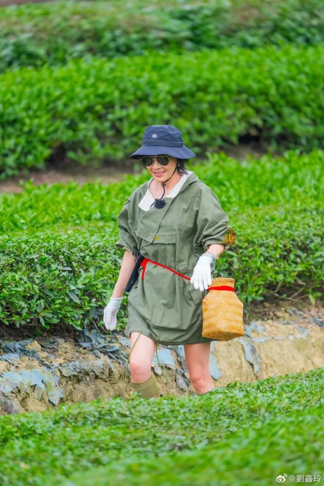 重阳登高何处去？安溪邀您赏花踏秋，解锁「茶山+云海」双景模式