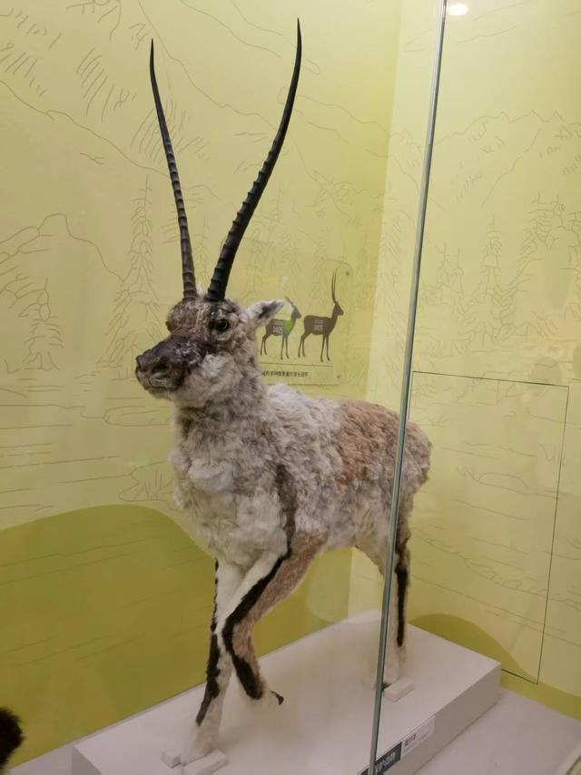 探索国家自然博物馆