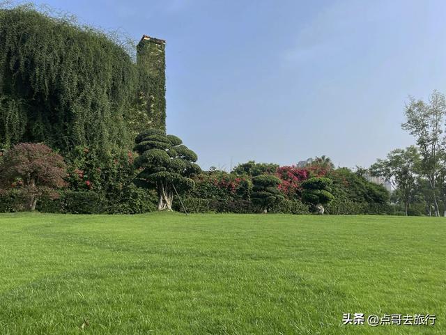 成都市内超级大草坪，美得让人惊叹，是摄影者的天堂，公交车直达