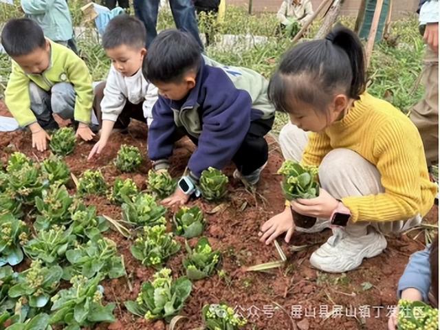 屏山县长江社区文化节周周有活动丨为家园添新绿！丁发社区“小花园”绿化共护“认领”养护活动等您来参与