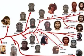 过去的500万年里，人类丢失了两个染色体，外星人改造了人类？图片