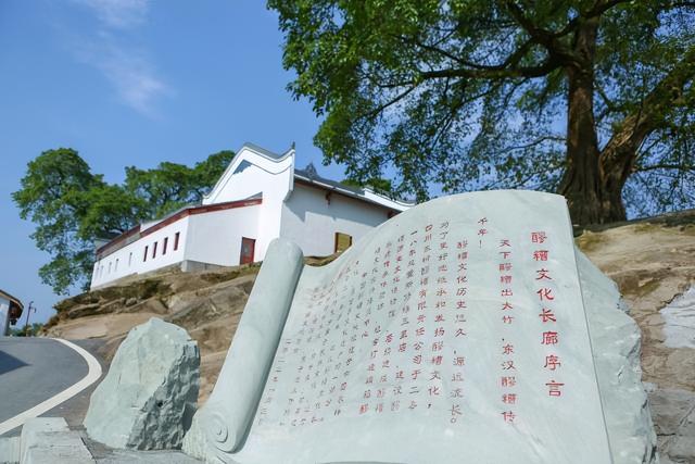 四川省大竹县历史沿革及行政区划