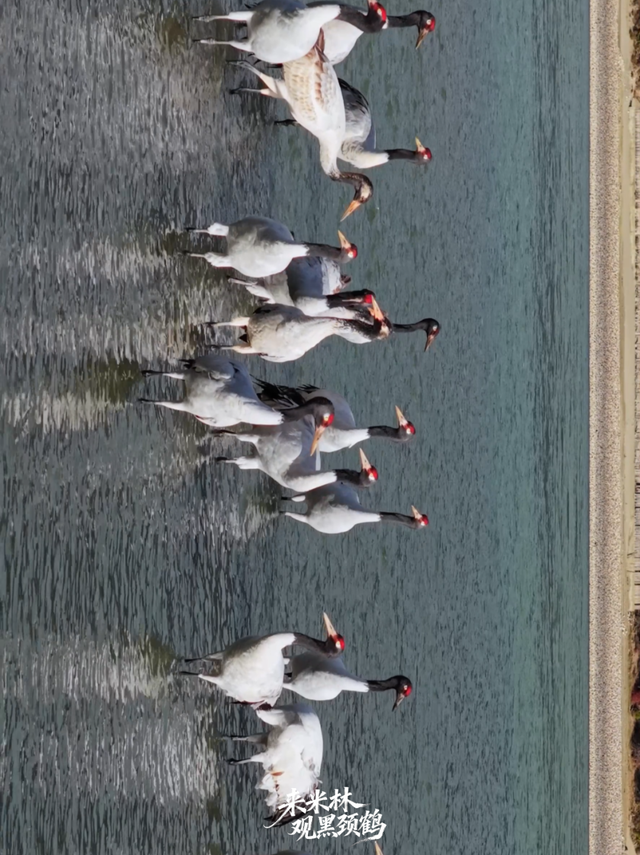 这个冬天，一定要来西藏看……