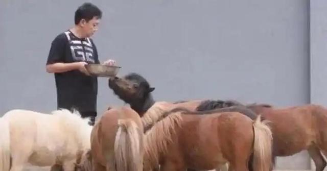 不查不知道一查吓一跳，坐拥北京60亩马场的于谦，私下到底有多壕