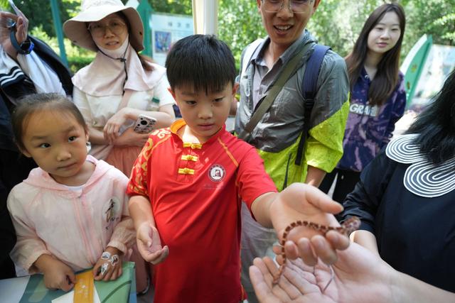 自然教育市集开市 北京少年宫打造生态科技科普盛宴