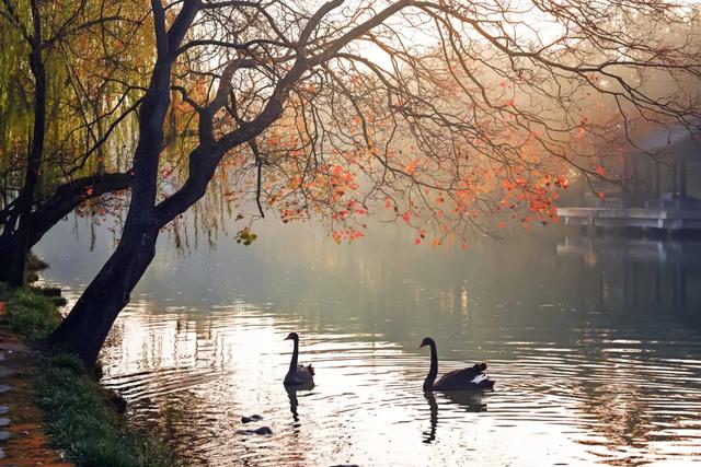 这里是江南诗词最多的城市,它的美有谁懂?
