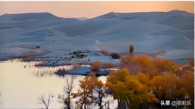 天呐！沙漠里的“金色水上森林”，日落一照直接封神