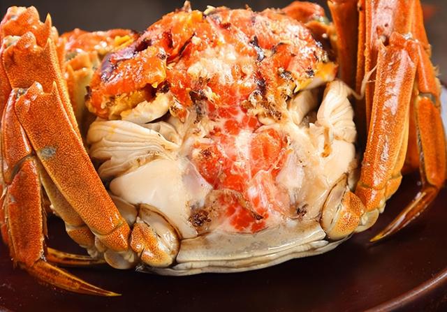 黄河入海 大美垦利 | 东营垦利观鸟贴心攻略