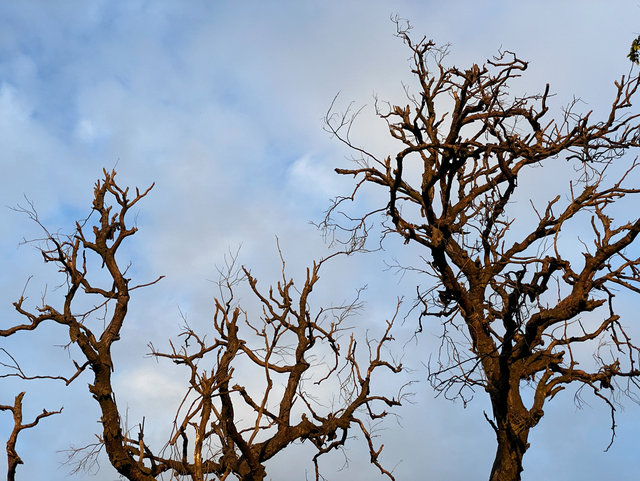 麒麟山真理公园1：这里的美景惊艳整个黄埔，你来过这里吗？