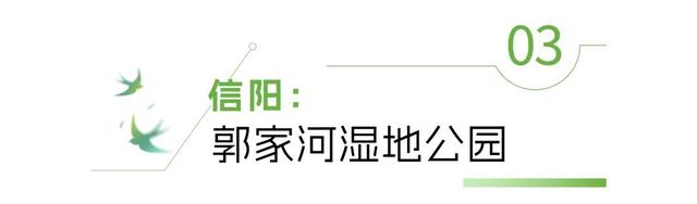 河南“天然空调房”里，来场“森呼吸”！