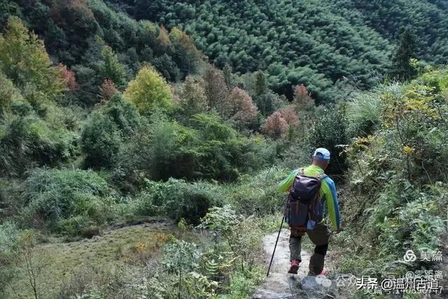 醉美林坑晒秋!这条连接两个避世古村落的省一级古道,周末可走起