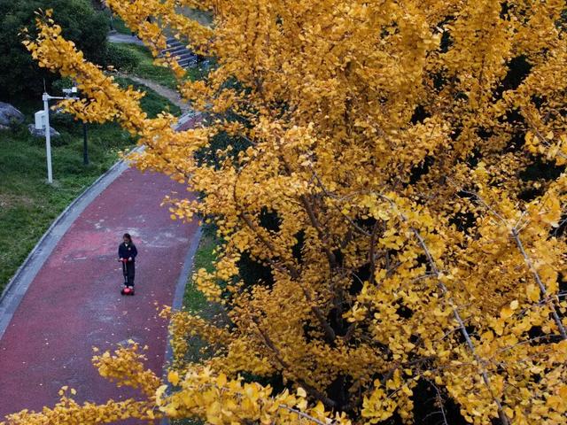 周末，和桐梓来场约会~