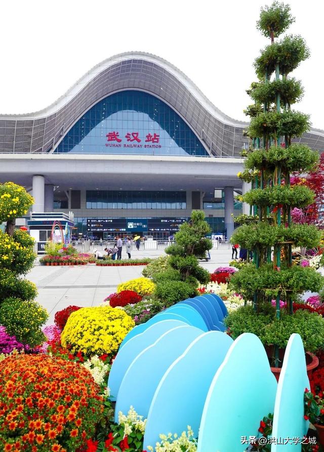 武汉洪山区第38届金秋菊展华美启幕