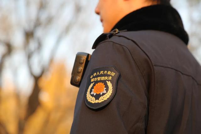 落叶不扫留秋韵！东城城管守护“秋日限定浪漫”