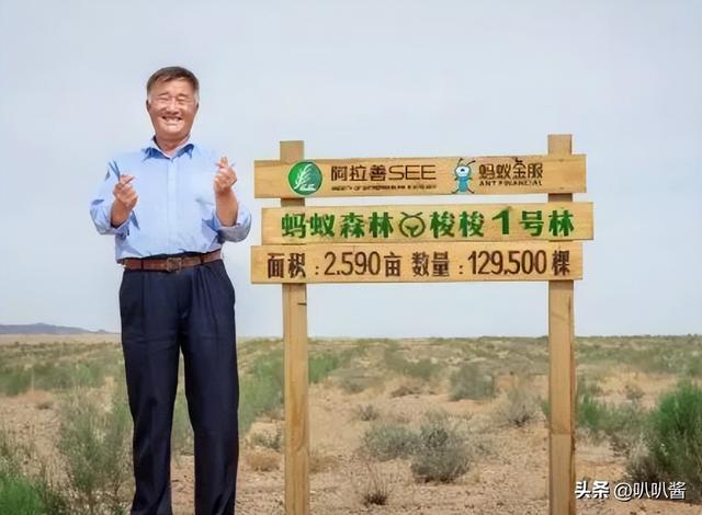 马云斥巨资在沙漠里种树，承诺每年1亿棵，10年过去了，情况如何