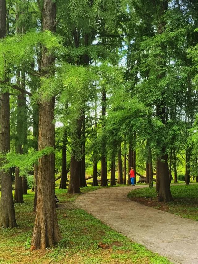 周五宠粉日|运动赏景两不误!这份公园运动指南请查收,更有辰山植物园门票等你免费领