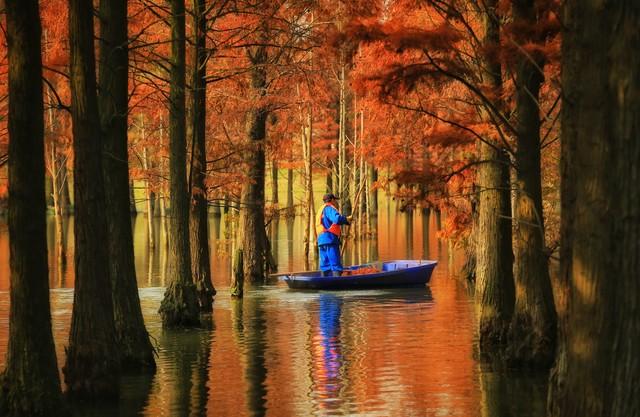 上海深秋封神路线！红叶燃秋+古寺银杏，3条私藏线承包你的诗意