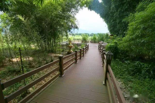 携台湾亲朋自驾游滇西南之十一