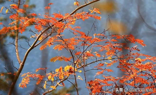 天池「初妆」，素颜静好