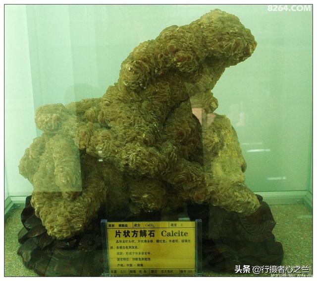 山东行游影记（31）—平邑天宇自然博物馆（六）