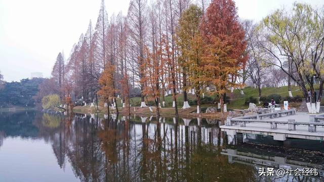每日一景|冬日玄武湖景色
