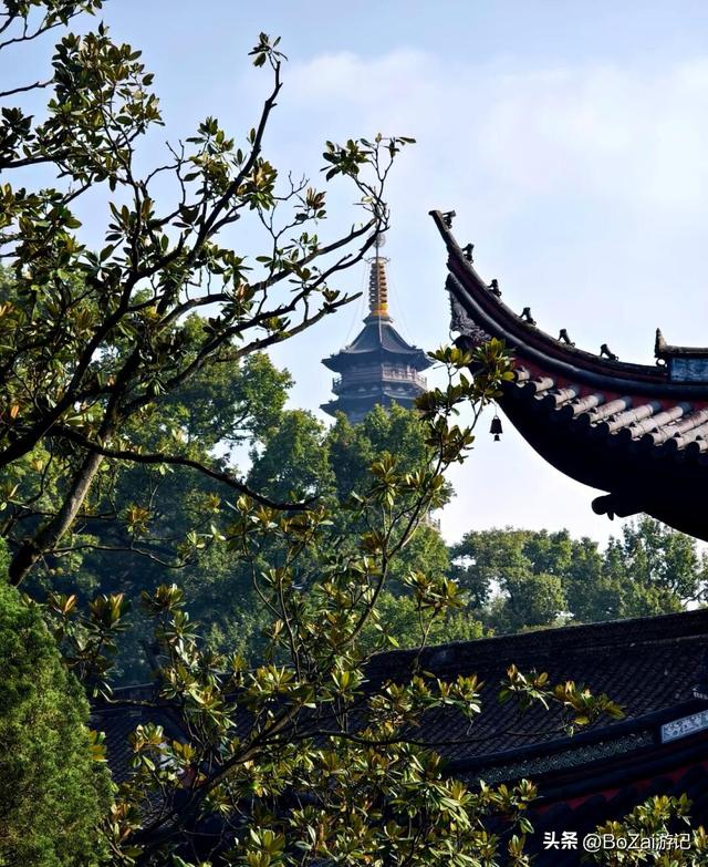 从热门寺庙看文化复苏,天童寺有何魅力,让人慕名而来