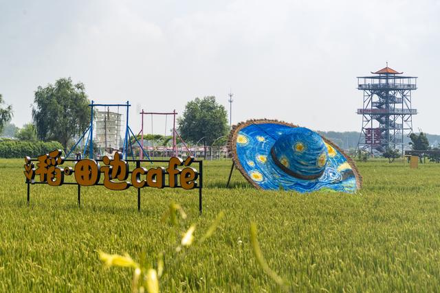 辽宁沈阳：一处画在田间人在画中的景区吸引来自四面八方的游人