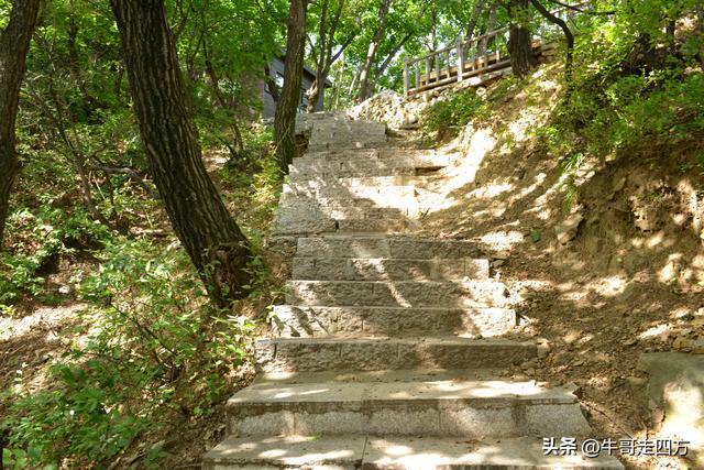 河北百草畔（上）：风动孤石悬险韵，蚁巡深岭蕴生机