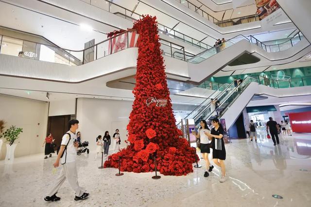 去茶山+中国国家地理！体验“第一口”和“第一眼”，超in打卡