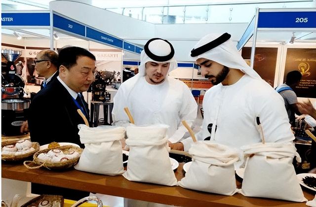 迪拜之外另有天地，沙迦老城文化浮出水面，阿联酋原始风情曝光