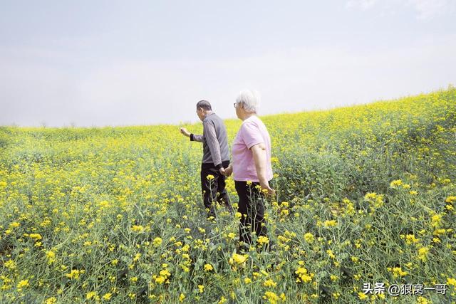 老年人出门旅行，这几条保命原则必须牢记