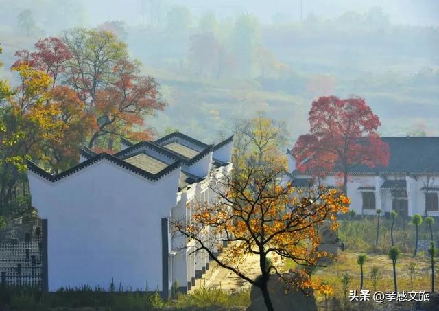 昨夜血月悬天，孝感这些地方私藏了整个银河！