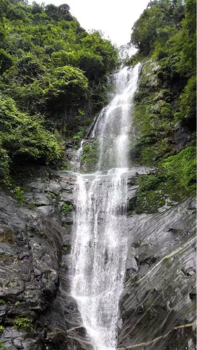 追梦老顽童戴树民：捞河之源，迷人周洛