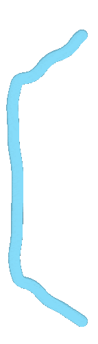 官宣啦！定档12月31日启幕！
