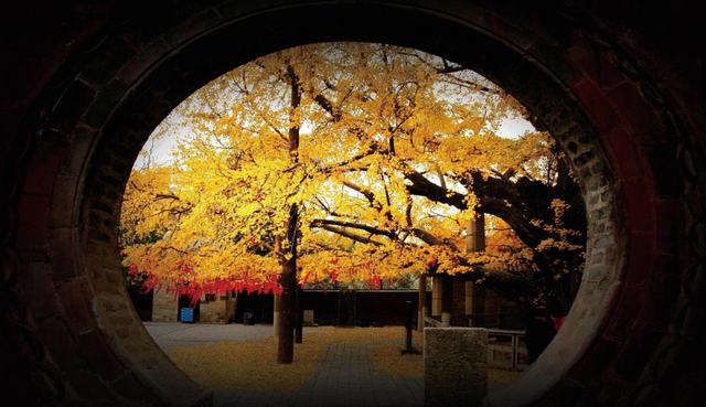 “县”在出发！解锁莒县的N种玩法！