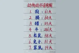 动物的怀孕周期，看完长知识了，收藏看看吧图片