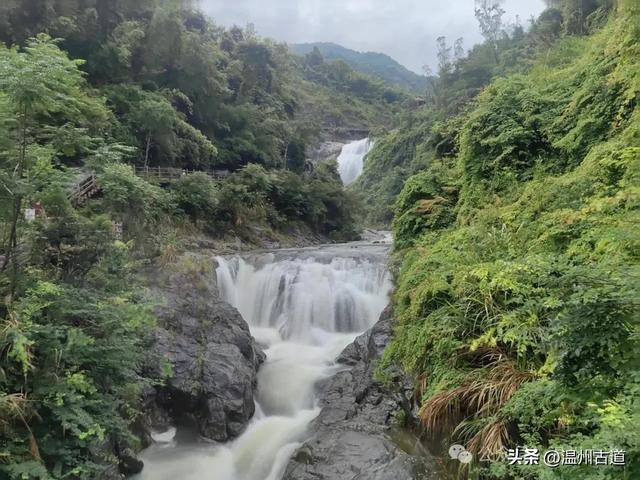 温州这个免门票的小众隐世宝地你可去过？