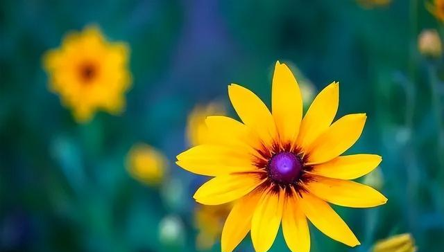 女人，在以下两个时期最容易动真情，男人要懂得好好把握