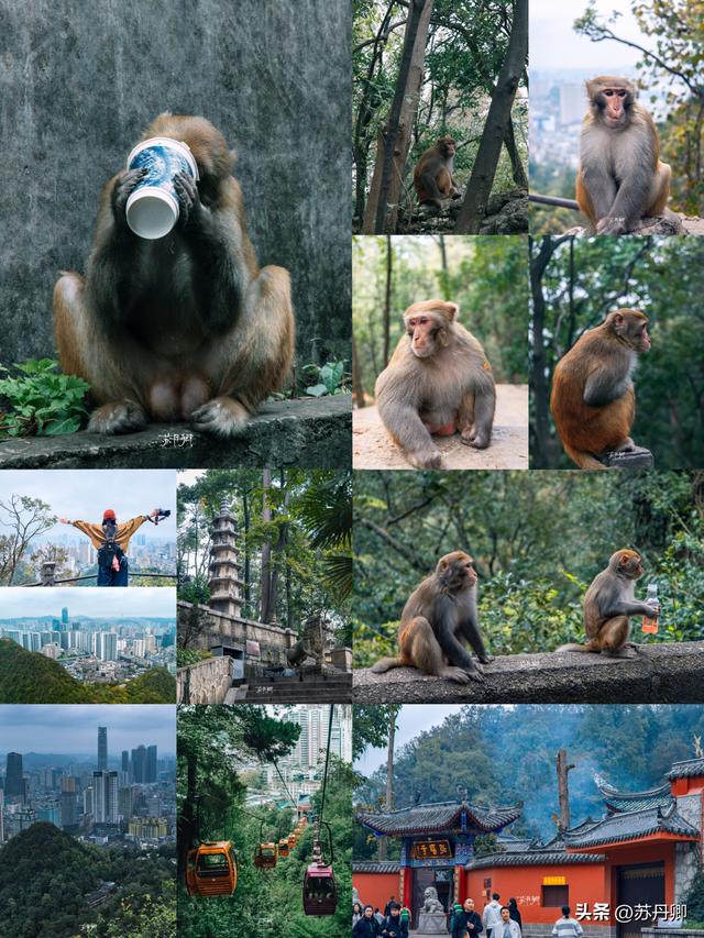 第一次去贵阳怎么样玩？极限挑战一日游｜打卡7个经典景点