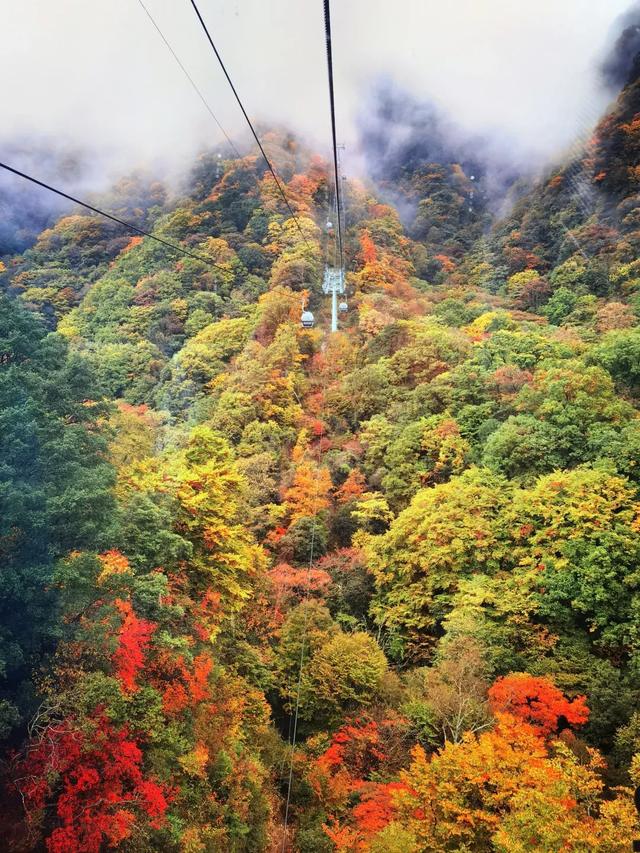 听劝!别再去光雾山米仓山人挤人,红叶没有啦!